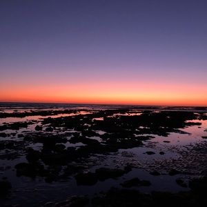 Meet your Posher, Lynette